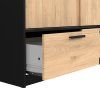 Skříň Lincoln 324 černý mat/jackson hickory