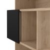 Knihovna Penta 738 jackson hickory/černá